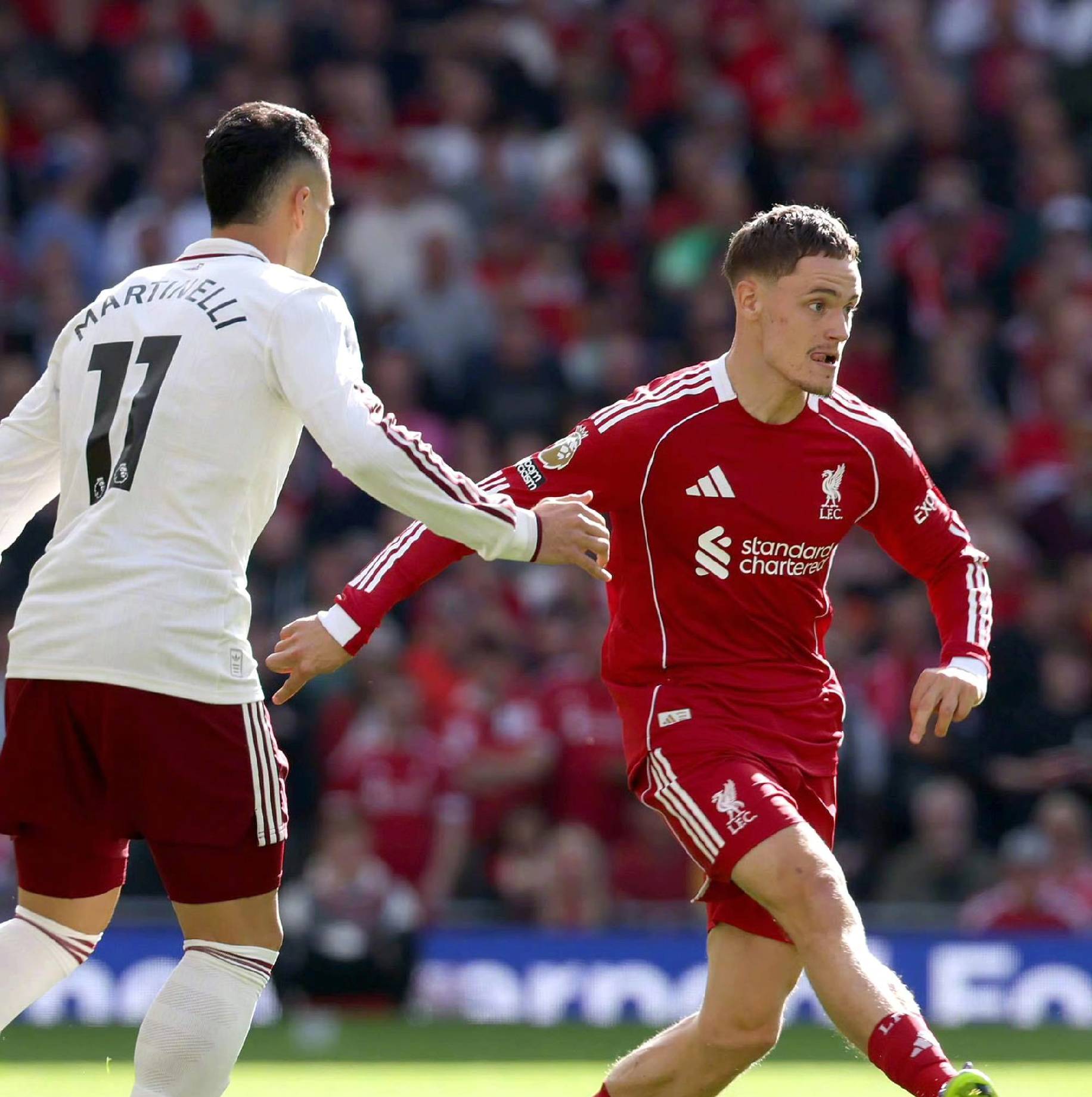 升起的明星 升起的明星