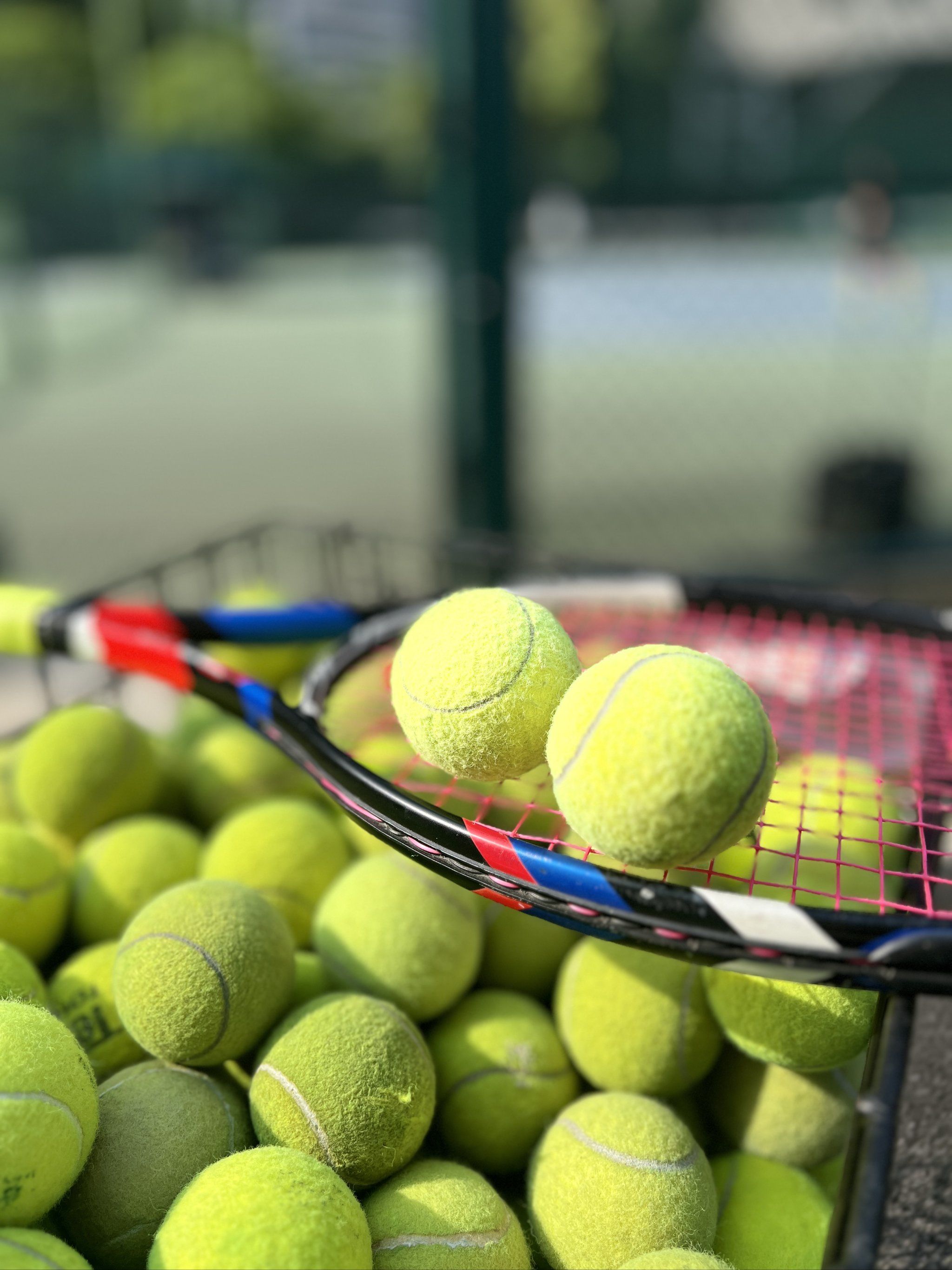 有助于营造 有助于营造