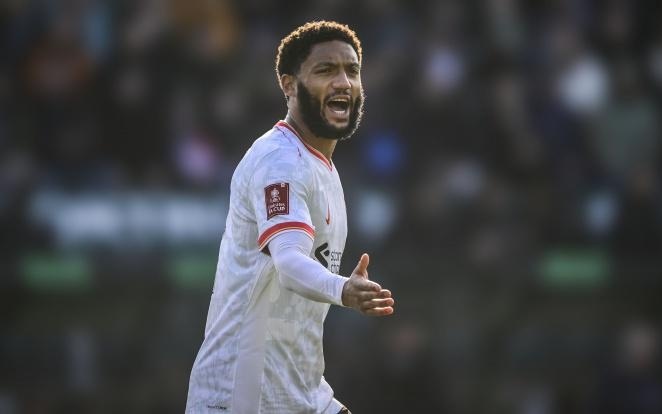 教练组的大 教练组的大